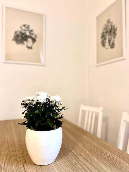 Elegante Appartamento In Centro Milano Ngoại thất bức ảnh